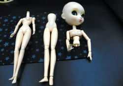 PULLIP GROUP D